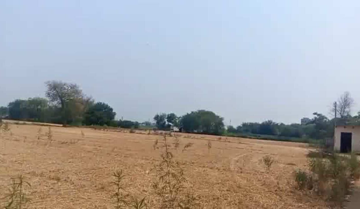 Mehrauli, South Delhi