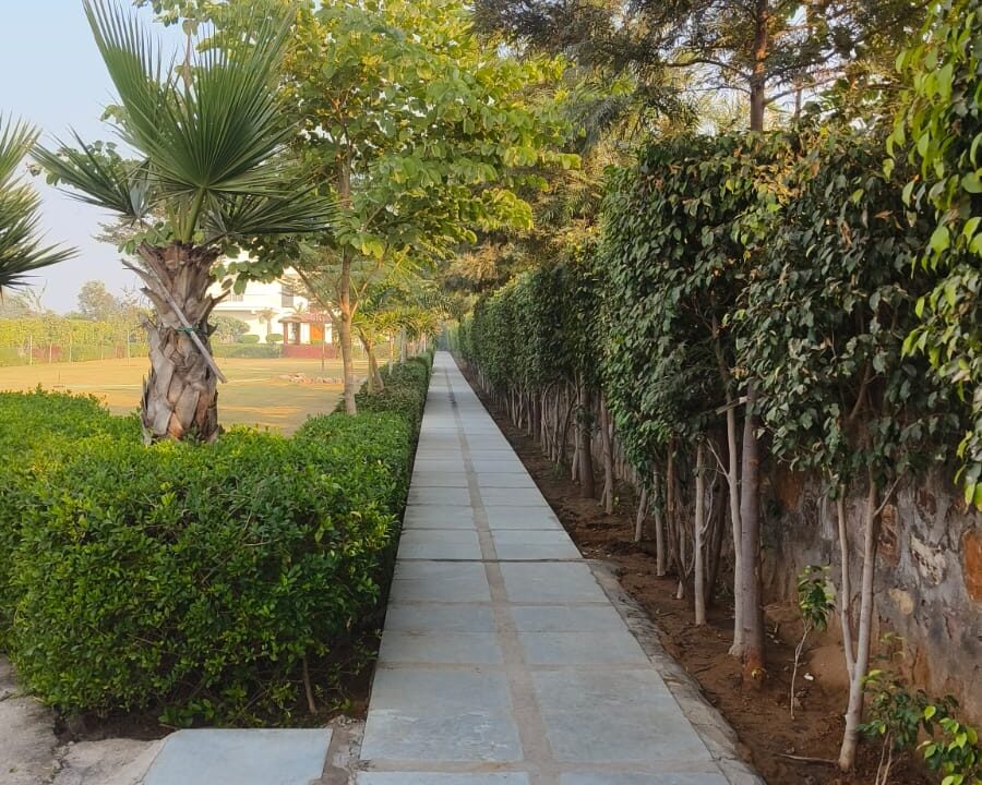 WhatsApp Image 2024-12-18 at 12.53.15 (1)