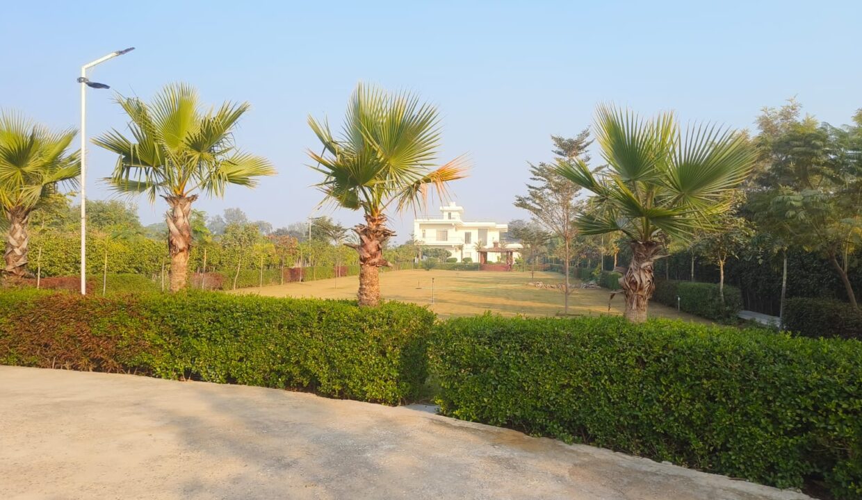 WhatsApp Image 2024-12-18 at 12.58.14 (2)