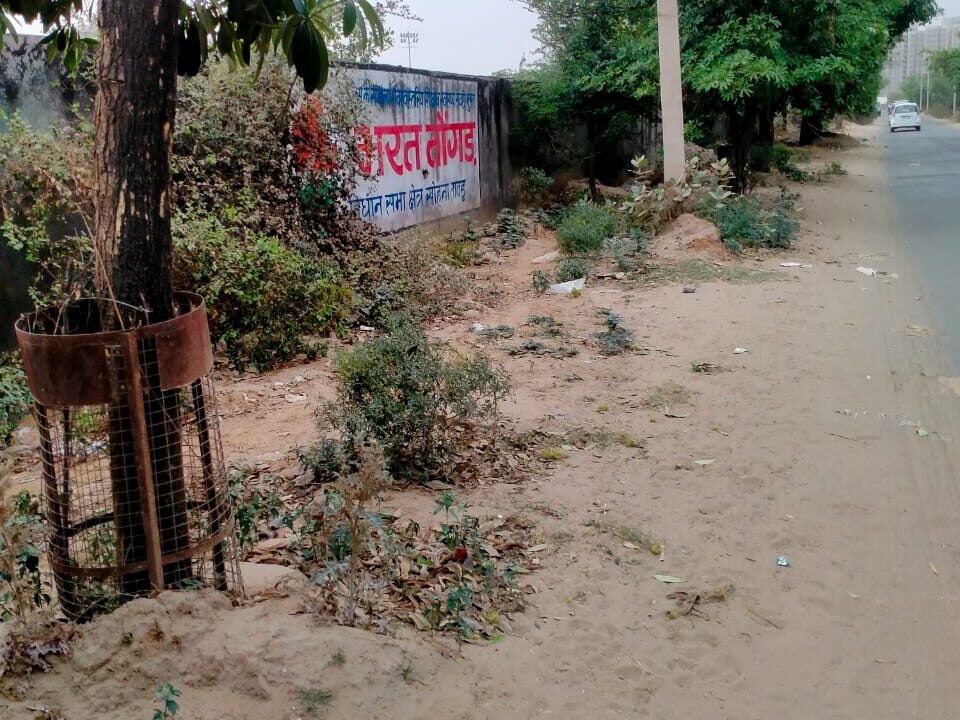 WhatsApp Image 2025-05-04 at 3.15.50 PM (1)