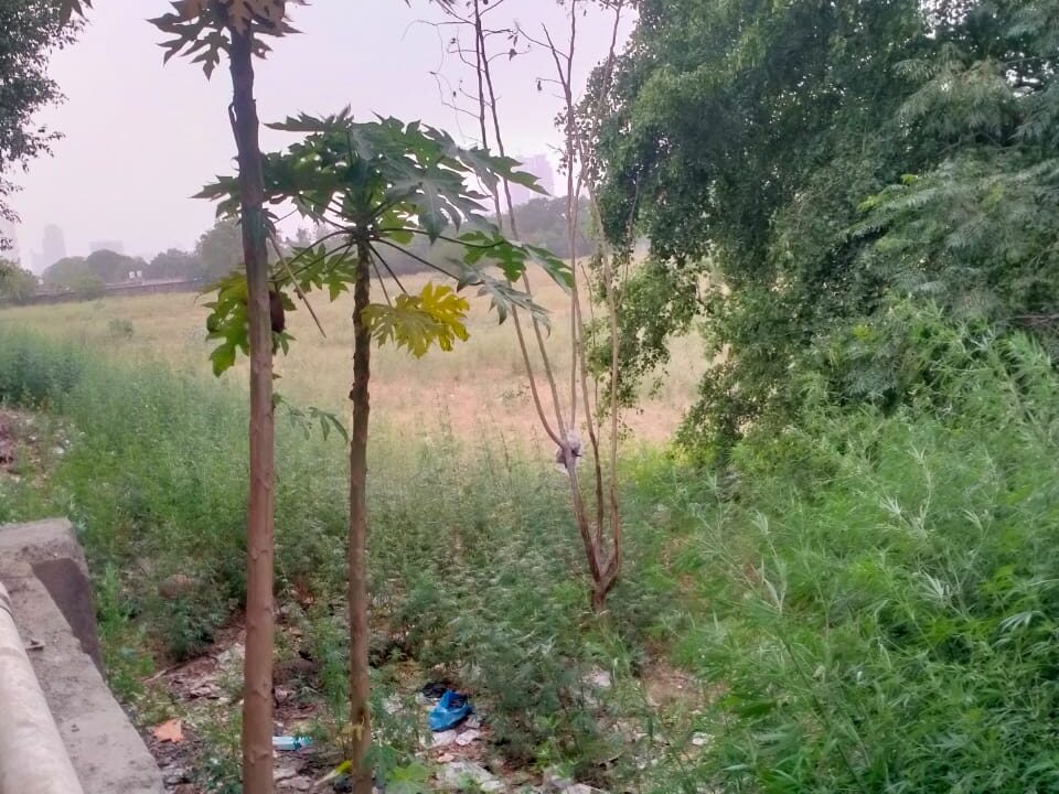 WhatsApp Image 2025-05-04 at 3.15.51 PM (1)