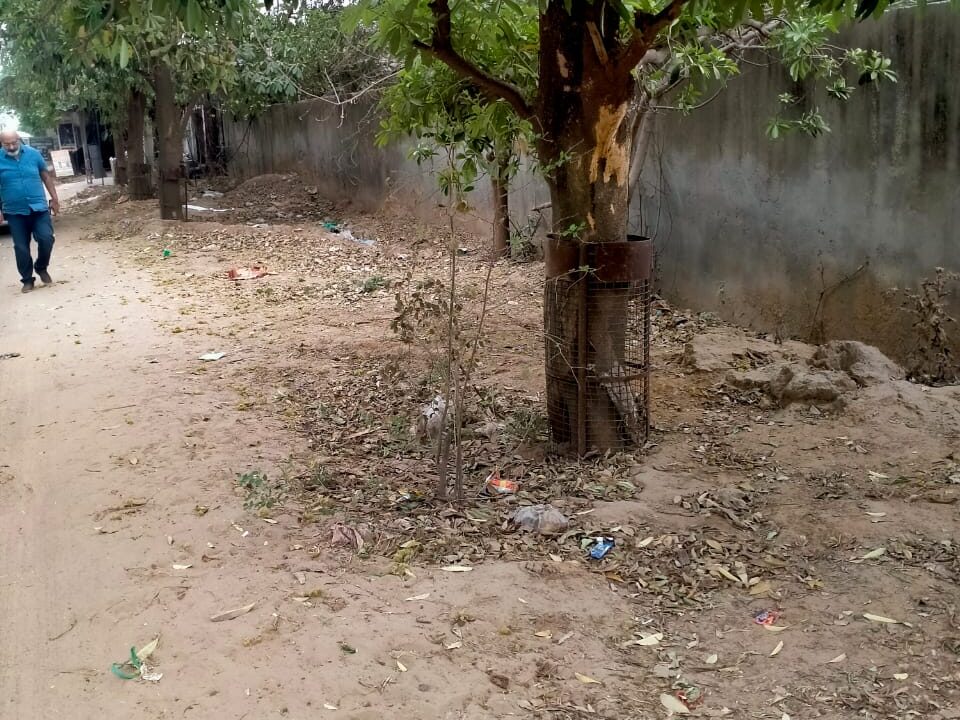 WhatsApp Image 2025-05-04 at 3.15.51 PM