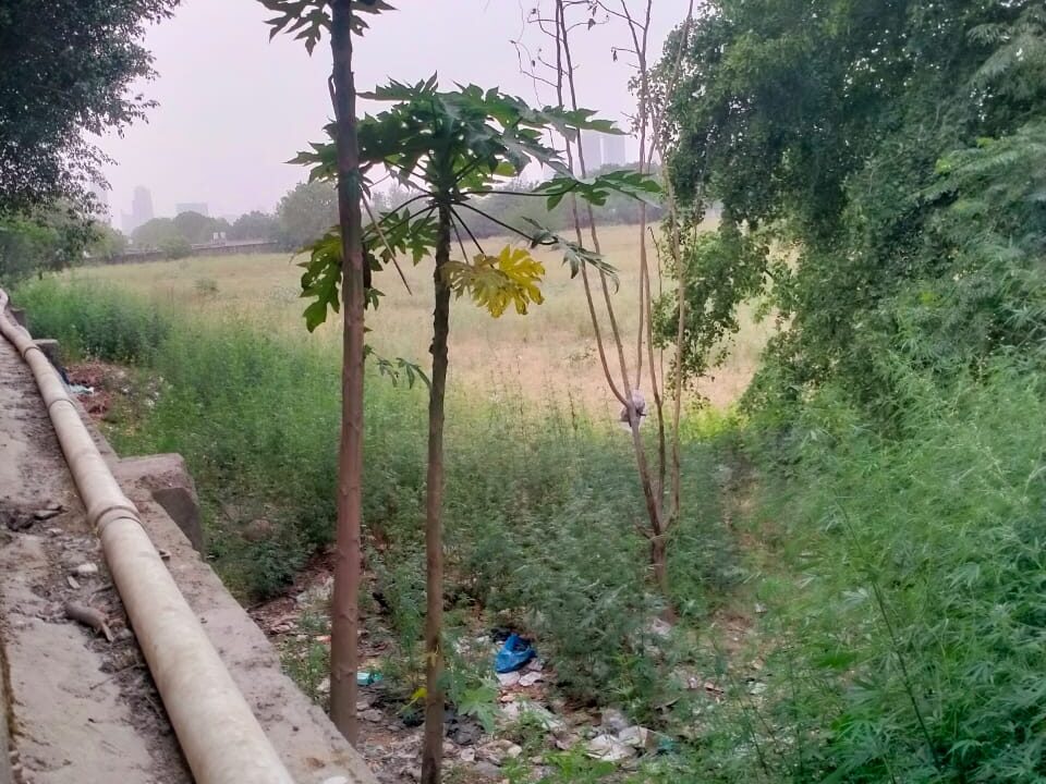 WhatsApp Image 2025-05-04 at 3.15.52 PM