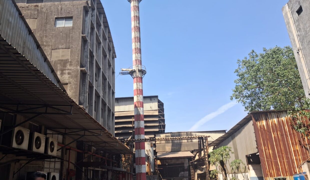 WhatsApp Image 2026-04-05 at 15.17.26d