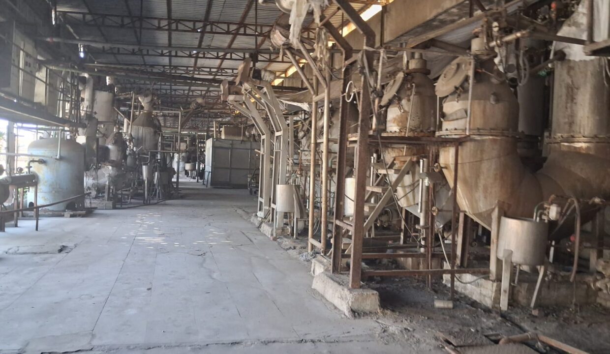 WhatsApp Image 2026-04-05 at 15.17.28dd